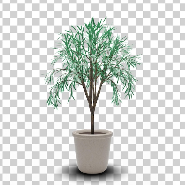 Plante 3D