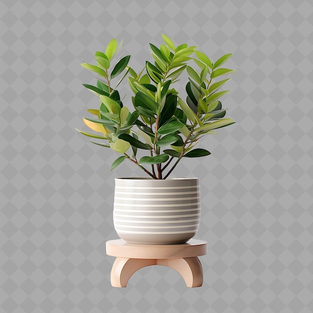 PSD plante en céramique country plaid design pot assis sur marb arbre vert isolé pour la décoration de la maison