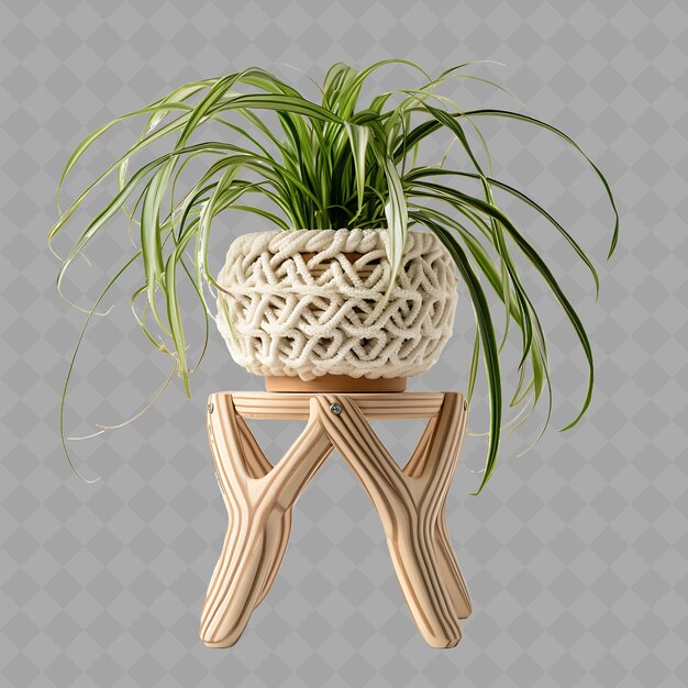 PSD une plante dans un pot est assise sur une table avec une plante dessus