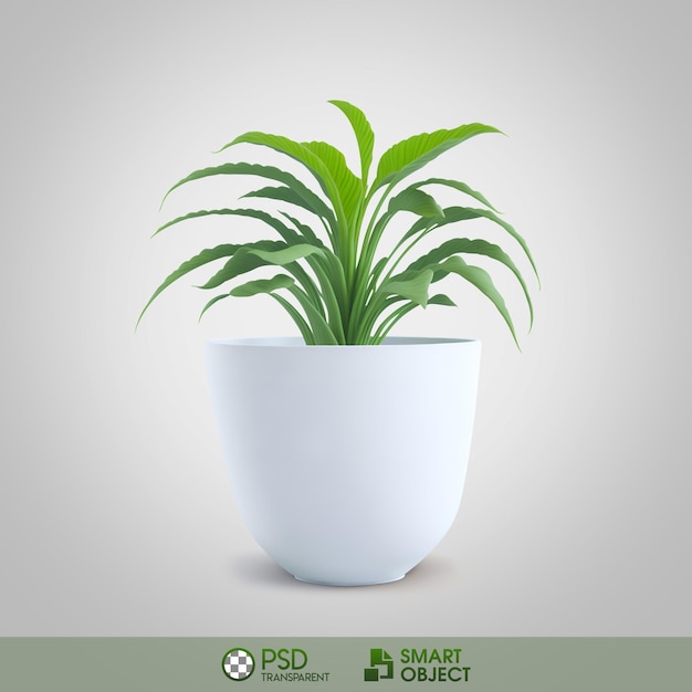 PSD une plante dans un pot qui dit psd.