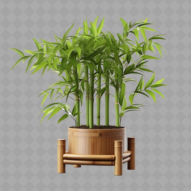 Une Plante Dans Un Pot Avec Une Table En Bois Et Une Place Pour Une Plante