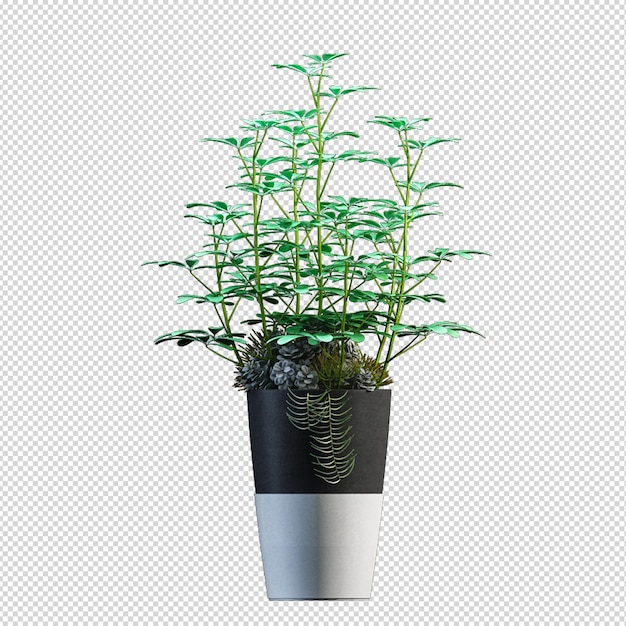 Plante Dans Un Vase En Rendu 3d Isolé