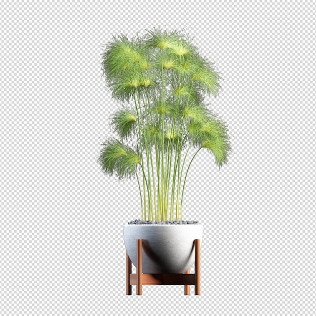 PSD plante dans un vase en rendu 3d isolé