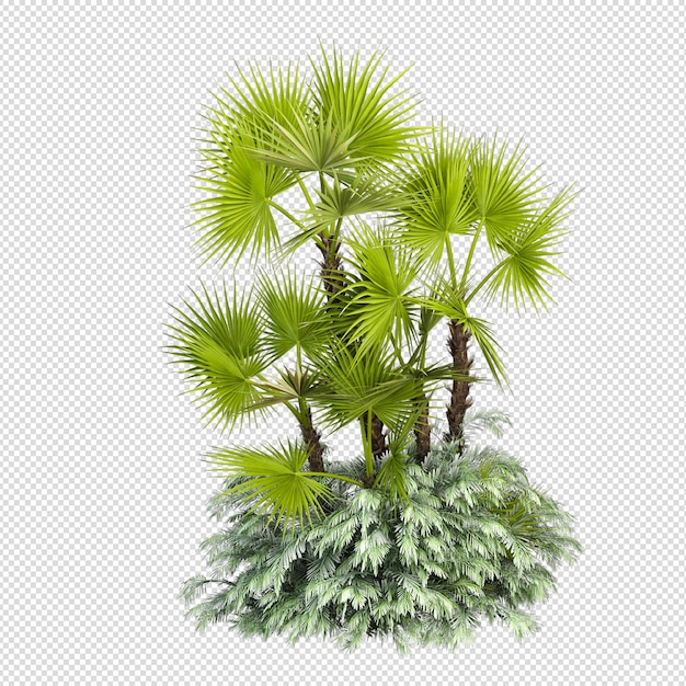 Plante d'été en rendu 3d isolée