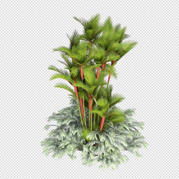 PSD plante d'été en rendu 3d isolée