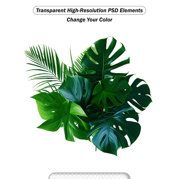 PSD plante à feuilles vertes tropicales arbuste de philodendron dracaena et arrangement floral de fougère