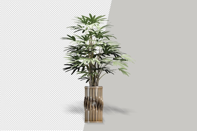 Plante de fleurs dans un vase en rendu 3d isolé