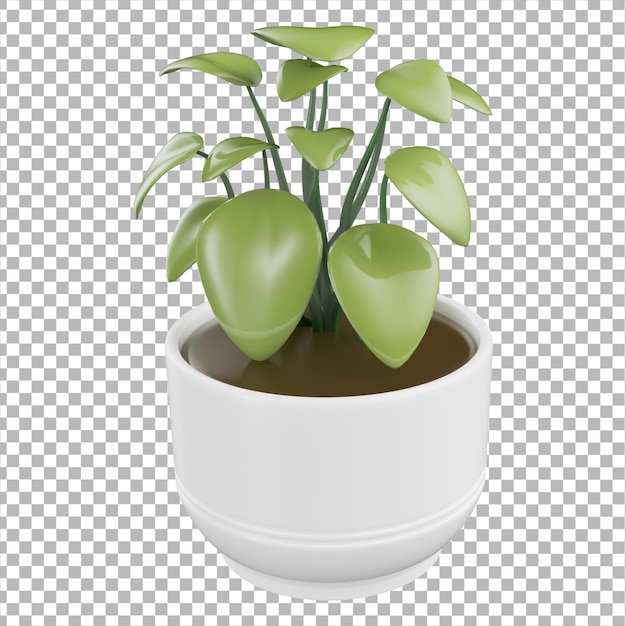 Plante d'intérieur icône 3D