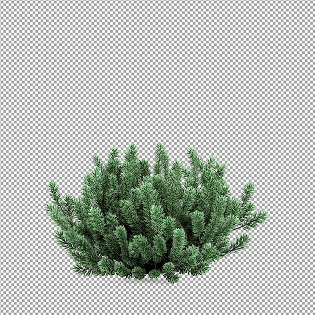 Plante isolée en rendu 3D