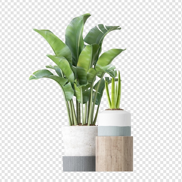 Plante Isolée En Rendu 3d