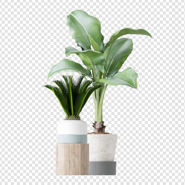 Plante Isolée En Rendu 3d