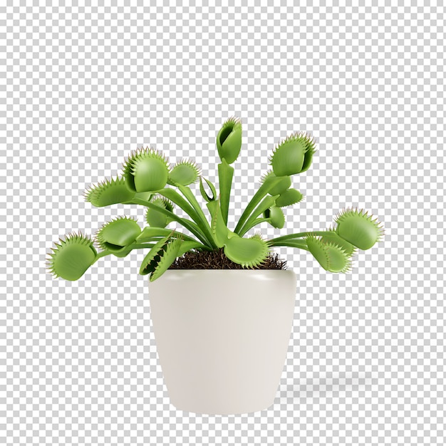 Plante isométrique en pot rendu 3d