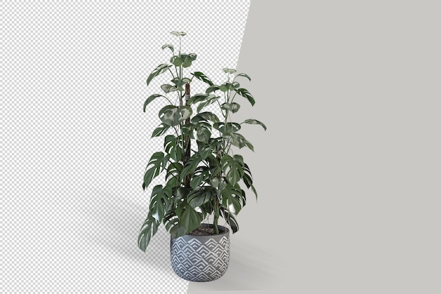 Plante Monstera En Pot En Rendu 3d