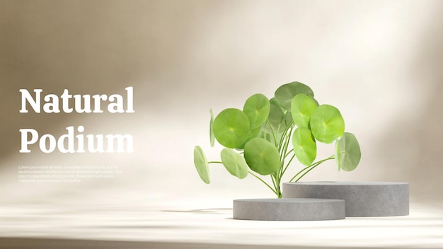 Plante De Peperomia à Feuilles Vertes Et Mur Beige Rendu 3d Maquette Vierge Podium En Béton Gris Dans Le Paysage