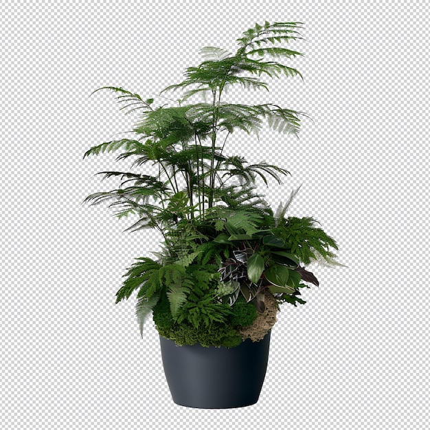 PSD une plante avec une plante dans un pot noir