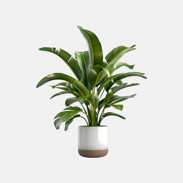 PSD plante en pot png