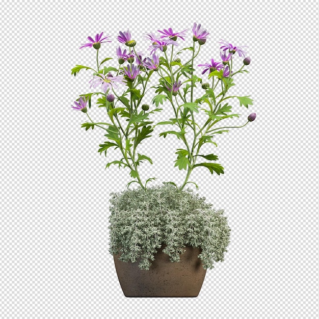 Plante En Pot En Rendu 3d Isolé