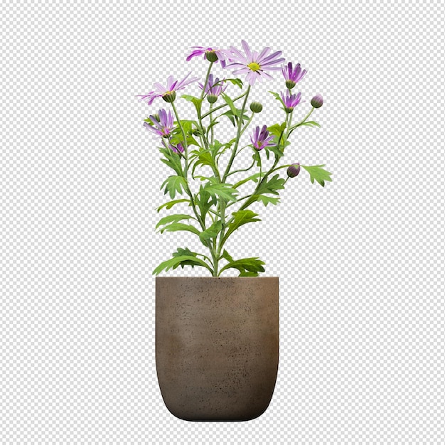 Plante en pot en rendu 3d isolé