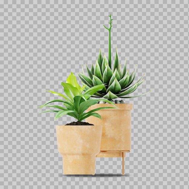 Plante en pot en rendu 3d isolé
