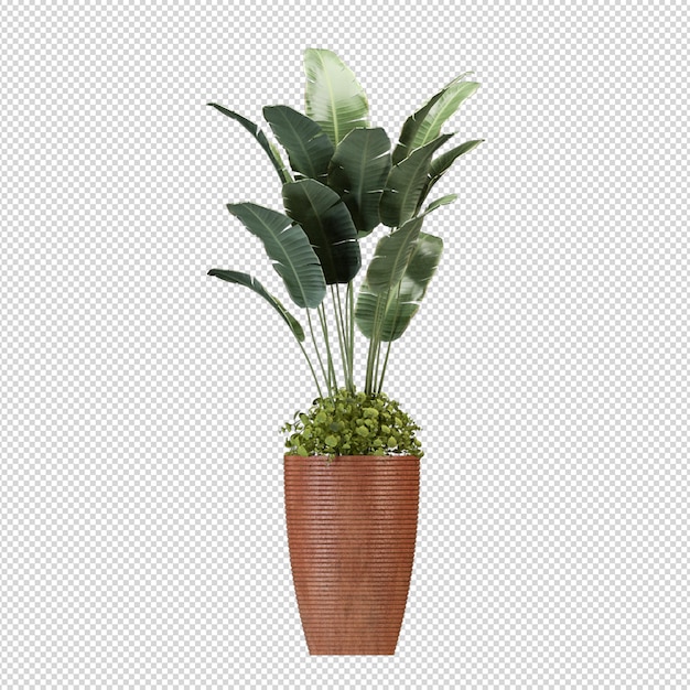 Plante en pot en rendu 3d isolé