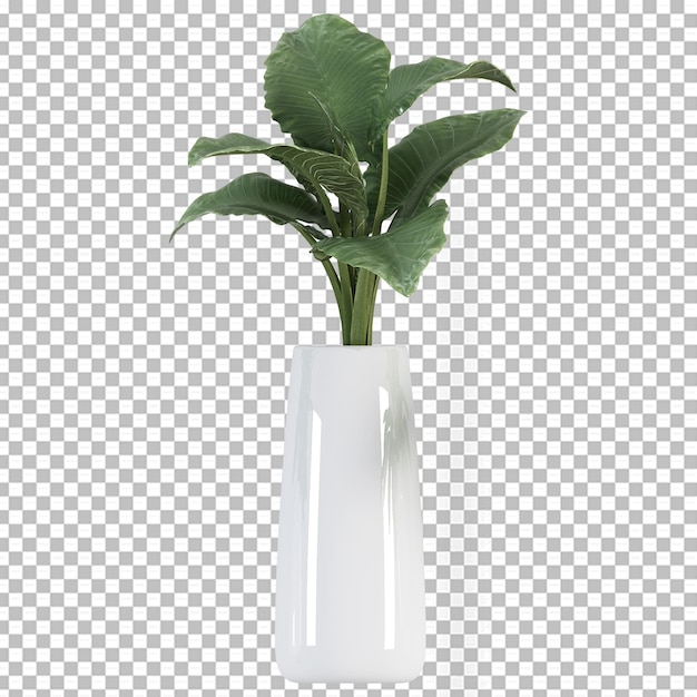 Plante En Pot En Rendu 3d Isolé