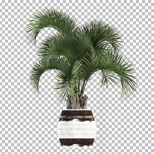 PSD plante en pot en rendu 3d isolé