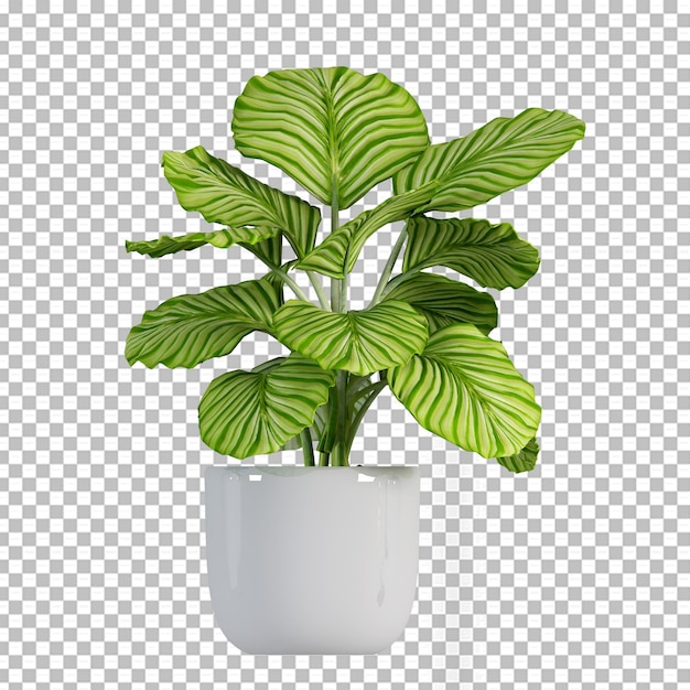 PSD plante en pot en rendu 3d isolé