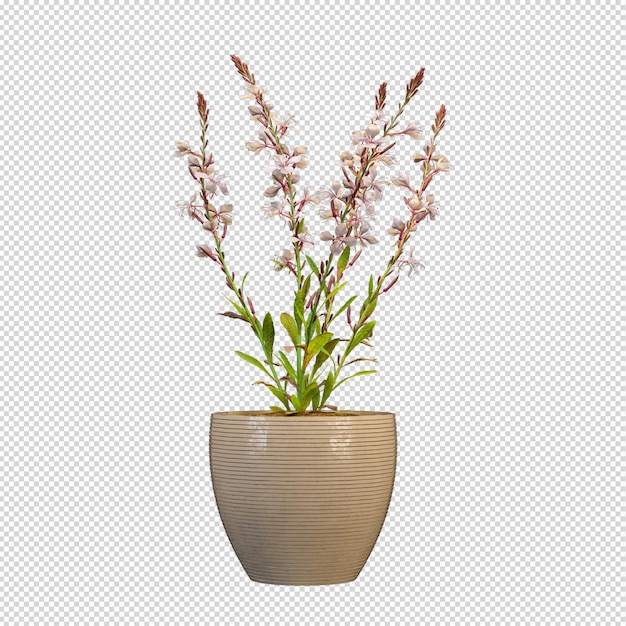 Plante en pot en rendu 3d isométrique