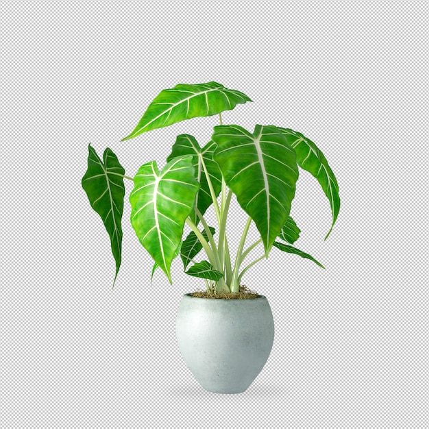 Plante en pot en rendu 3d