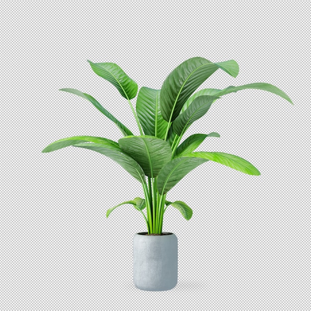 Plante En Pot En Rendu 3d