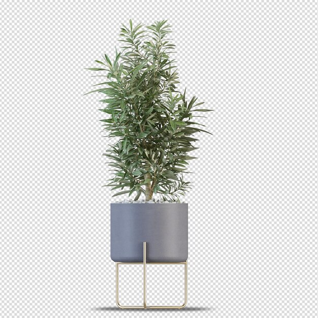 Plante En Pot En Rendu 3d