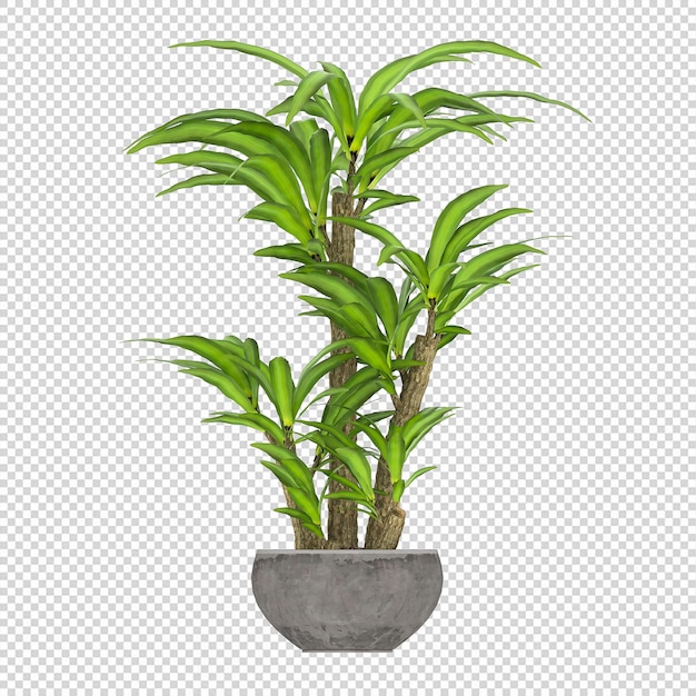 Plante PSD, Plante PNG, Télécharger Plante Transparent Background