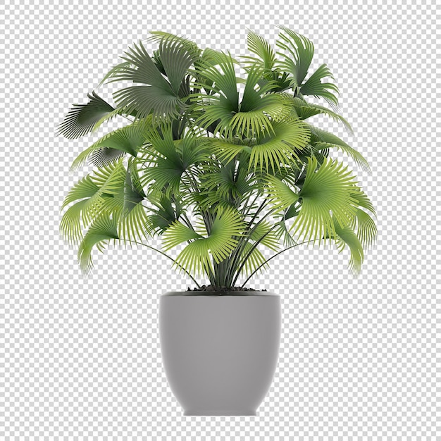 Plante PSD, Plante PNG, Télécharger Plante Transparent Background