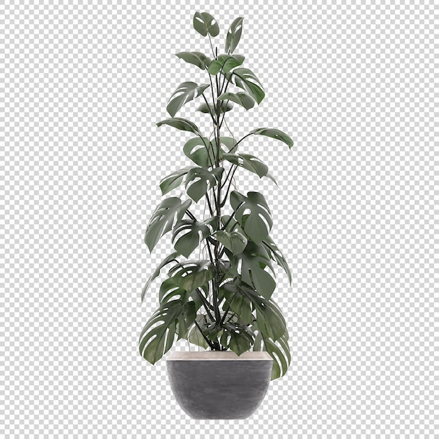 Plante Psd, Plante Png, Télécharger Plante Transparent Background