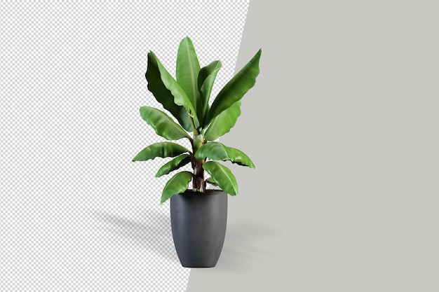 Plante Réaliste En Pot Isolé Rendu 3d