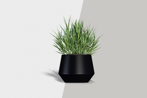 Plante Réaliste En Rendu 3d