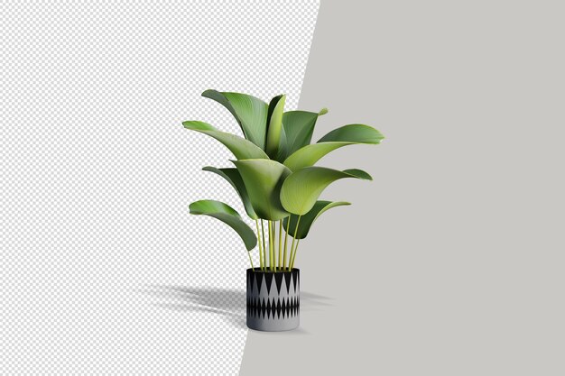 Plante réaliste en rendu 3d