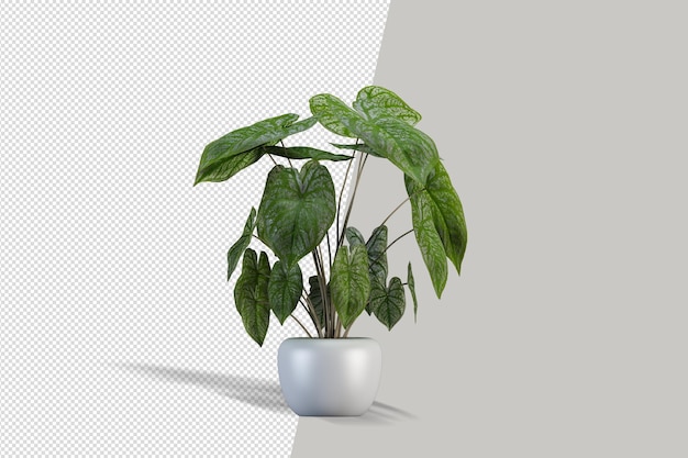 Plante en rendu 3d isolé