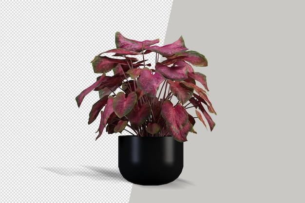 Plante En Rendu 3d Isolé