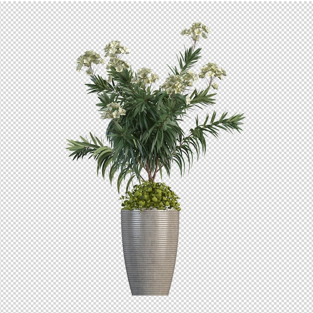 Plante En Rendu 3d Isolé