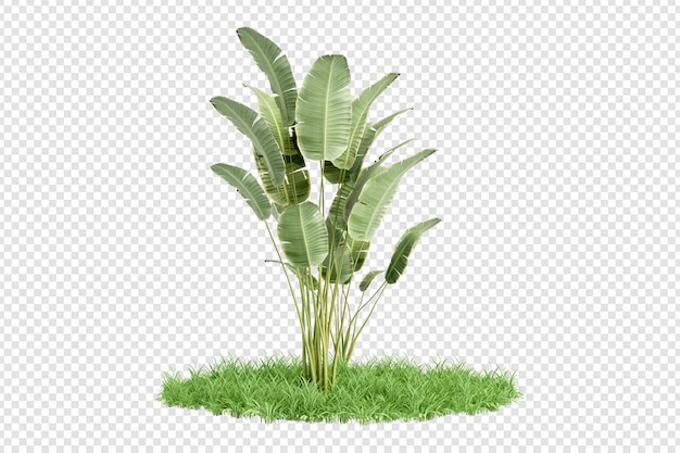 Plante En Rendu 3d Isolée