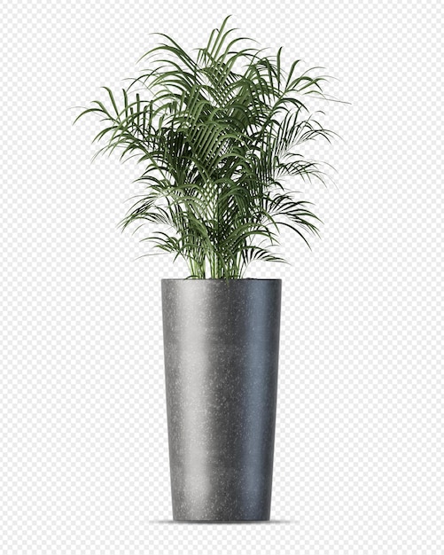 Plante Tropicale En Pot En Rendu 3d