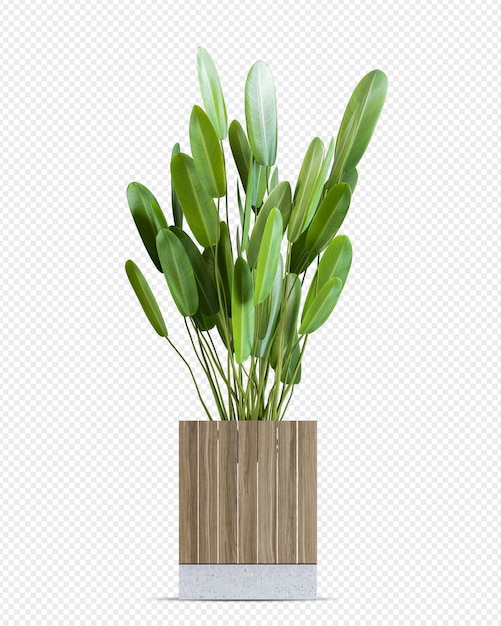 Plante Tropicale En Pot En Rendu 3d