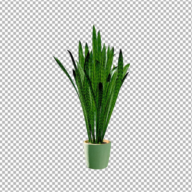 PSD une plante verte dans un pot avec une plante verte dedans.