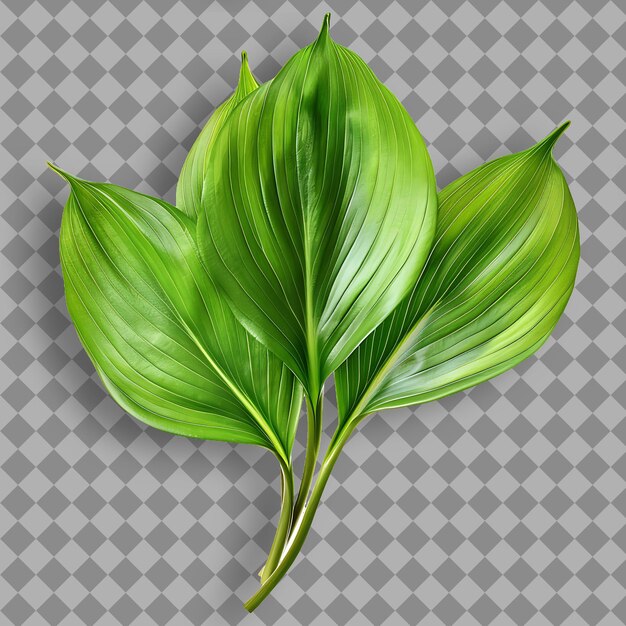 PSD une plante verte avec des feuilles vertes sur un fond à carreaux
