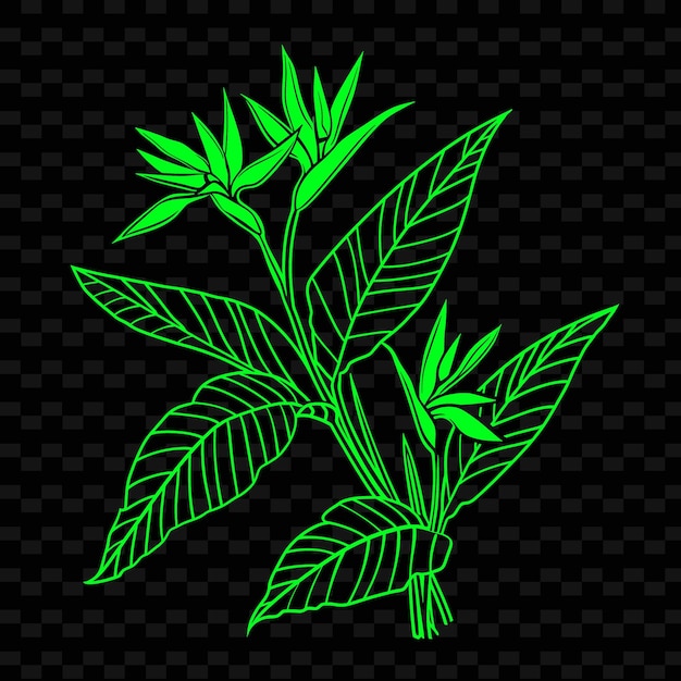PSD plante verte sur un fond noir avec un fond noir