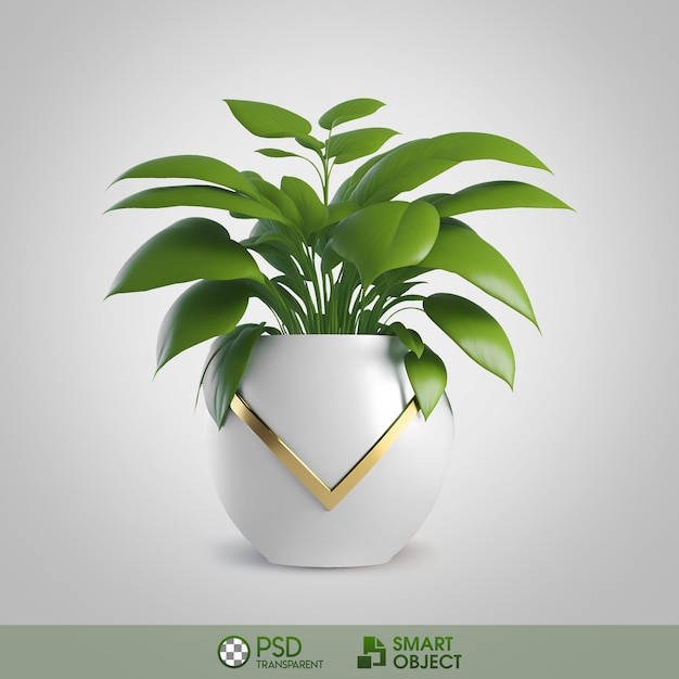 PSD plante verte en pot fond transparent