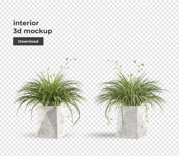 Planter En Pot Maquette En Redering 3d