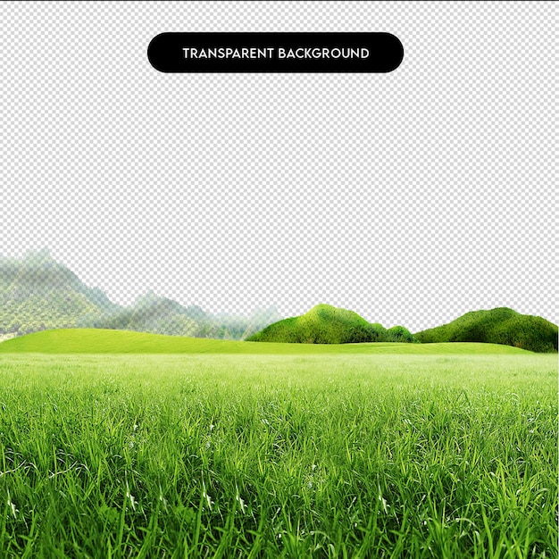 Planterie de légumes en PNG avec fond transparent pour le jardin