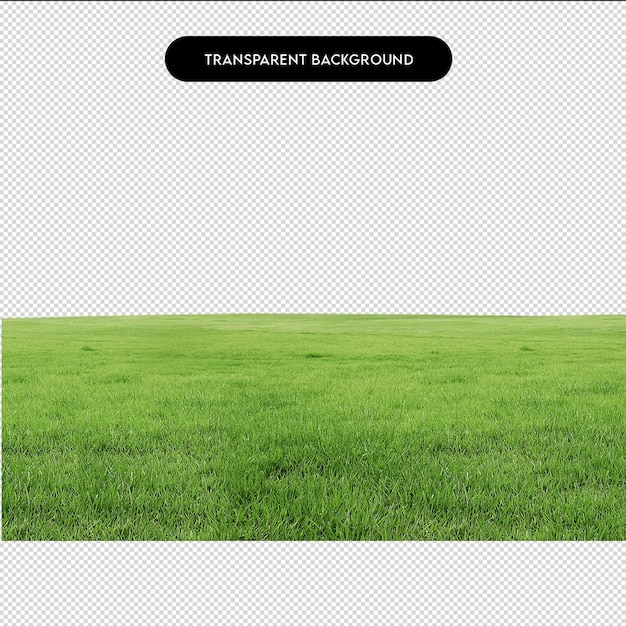 Planterie de légumes en PNG avec fond transparent pour le jardin